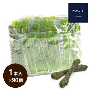 _|Cg5{ 11/4()20:00`11()1:59܂Ł^yPOCHIz POCHI f^voCIK N}UT 1{×90 |`  K  f^PA Y