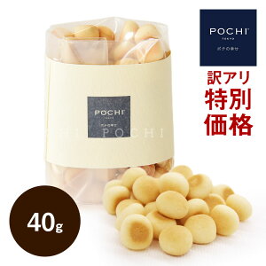 yPOCHIz sʉit POCHI ppC{[ 40g GRpbP[W |`   VjA Y