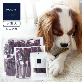 【POCHI公式】POCHI デンタルプロバイオガム ソフト ブルーベリー&ルテイン入り ポチ 国産 犬用ガム
