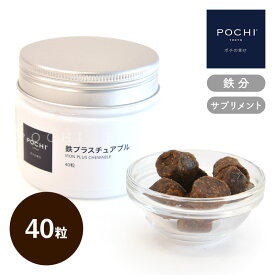 【POCHI公式】POCHI 鉄プラスチュアブル 40粒 ポチ 犬 鉄分 サプリメント ソフト ジャーキー