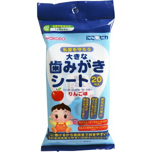 ɂsJ / 傫Ȏ݂V[g / 20