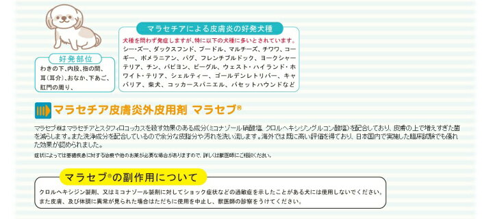 マラセブシャンプー 4l 皮膚炎 キリカン洋行 マラセチア 真菌 カビ 抗菌 1ガロン 薬用シャンプー