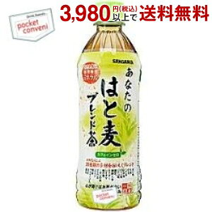 Gg[Ń|Cg5{TKA Ȃ̂͂Ɣuh 500mlybg{g 24{ (͂Ɣuh JtFC[)