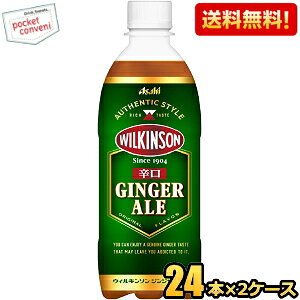 yzATq EBL\ WWG[ 500mlybg{g 48{(24{×2P[X) WW[G[ GINGER ALE h ̂܂܂łނɂ kC800~Ek400~̕ʓrZ [39