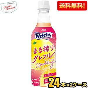 yzATq Welch's EF` ܂OtXp[NO 450mlybg{g 48{(24{×2P[X) O[vt[c asahi2505 kC800~Ek400~̕ʓrZ