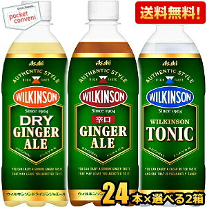 yzATq EBL\ IׂY_Zbg WWG[ hCWWG[ gjbN 500mlybg{g 48{(24{×2P[X) WW[G[ DRY GINGER ALE h ̂܂