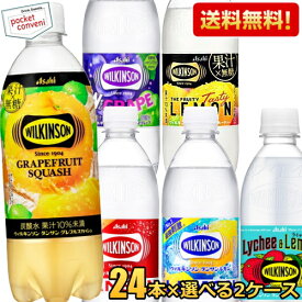 ウィルキンソン タンサン 炭酸水 送料無料 アサヒ 500mlPET 48本(24本×選べる2ケース) ノーマル レモン ウイルキンソン ダブルグレープ レモン 割り材 炭酸水 ソーダ水 フルーティー レモン ピーチ グレフル グレープフルーツ