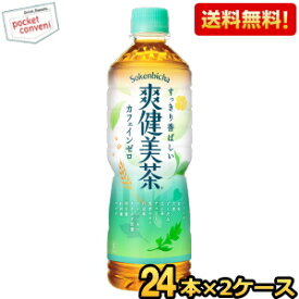 期間限定特価★【送料無料】コカ・コーラ 爽健美茶 600ml増量ペットボトル 48本(24本×2ケース) (コカコーラ) ※北海道800円・東北400円の別途送料加算 20190110