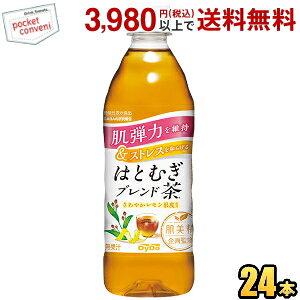 @\\Hi _Ch[ ďC ͂Ƃނuh 500mlybg{g 24{ 