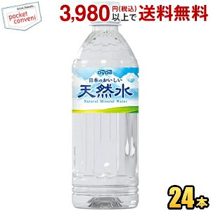 _Ch[ {̂VR 500mlybg{g 24{ ~lEH[^[  { mˎs̐ st2505