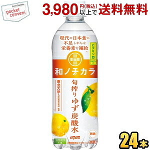 Ԍ _Ch[ am`J { 䂸Y_ 500mlybg{g 24{ Xp[NOEH[^[ h{@\Hi Y_