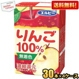 【送料無料】エルビー りんご100％ 125ml紙パック 120本(30本×4ケース) 果汁100%ジュース 飲み切りサイズ アップルジュース りんごジュース ※北海道800円・東北400円の別途送料加算