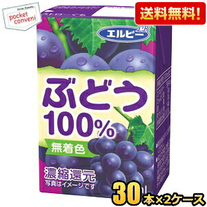 yzGr[ Ԃǂ100 125mlpbN 60{(30{×2P[X) ʏ`100%W[X ݐ؂TCY O[vW[X ԂǂW[X kC800~Ek400~̕ʓrZ