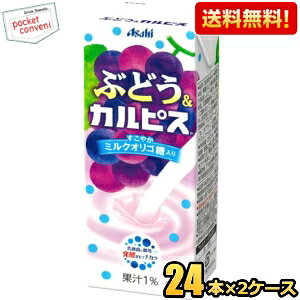 �y���������z�G���r�[ �Ԃǂ�&�J���s�X 250ml���p�b�N 48�{(24�{×2�P�[�X) �t���[�c�J���s�X ���k�C��800�~�E���k400�~�̕ʓr�������Z [39�V���b�v]