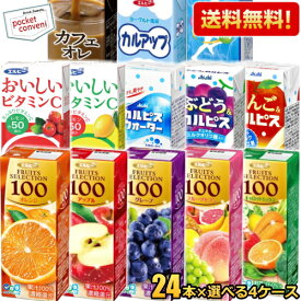 期間限定特価【送料無料】 エルビー紙パック飲料 選べる4ケース 計96本セット 果汁100%ジュース C1000 スポーツドリンク カフェオレ カルピス 200ml 250ml 野菜ジュース ※北海道800円・東北400円の別途送料加算