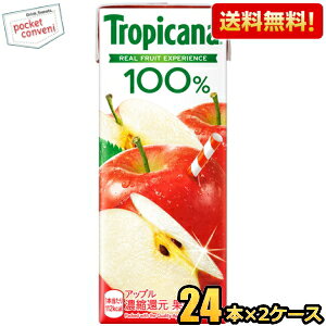 yzL gsJ[i100 Abv 250mlpbN 48{(24{×2P[X) ʏ`100% Abv W[X  kC800~Ek400~̕ʓrZ [39Vbv] kirin2024cp