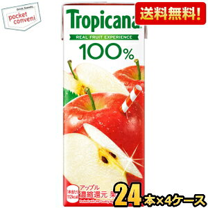 yzL gsJ[i100 Abv 250mlpbN 96{(24{×4P[X) ʏ`100% Abv W[X  kC800~Ek400~̕ʓrZ [39Vbv] kirin2024cp