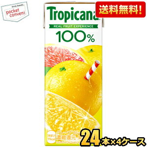 yzL gsJ[i100 O[vt[c 250mlpbN 96{(24{×4P[X) ʏ`100% zCgO[vt[c sNO[vt[c W[X kC800~Ek400~̕