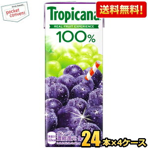 yzL gsJ[i100 O[v 250mlpbN 96{(24{×4P[X) ʏ`100% Ԃǂ kC800~Ek400~̕ʓrZ [39Vbv] kirin2024cp