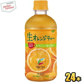 伊藤園 【HOT用】 TEAS’ TEA(ティーズティー)NEW AUTHENTIC 生オレンジティー　ホット450mlペットボトル 24本入 フルーツティー 紅茶