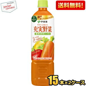 【送料無料】伊藤園 充実野菜 緑黄色野菜ミックス 740gペットボトル 30本(15本×2ケース) 野菜ジュース ※北海道800円・東北400円の別途送料加算