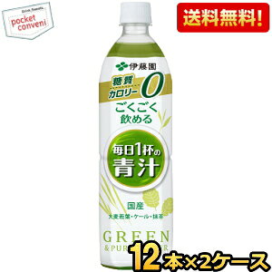 期間限定特価【送料無料】伊藤園 ごくごく飲める毎日1杯の青汁 無糖 900gペットボトル 24本(12本×2ケース) (カロリーゼロ 糖質ゼロ 野菜ジュース) ※北海道800円・東北400円の別途送料加算 [39シ