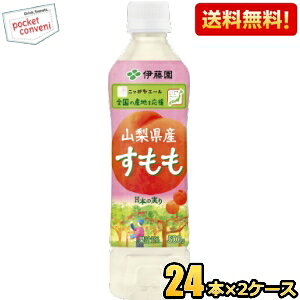 【送料無料】伊藤園 ニッポンエール 山梨県産すもも 500gペットボトル 48本(24本×2ケース) キウイジュース JA全農共同開発商品 ※北海道800円・東北400円の別途送料加算