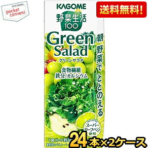 yzJS ؐ100 O[T_ 200mlpbN 48{(24{×2P[X) ؃W[X X[p[[txWgp green salad H@ S JVE kC800~Ek400~̕ʓr