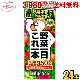 お買いものパンダのお皿プレゼント開催中★【あす楽】 カゴメ 野菜一日これ一本 200ml紙パック 24本入 (野菜ジュース 野菜1日これ1本)