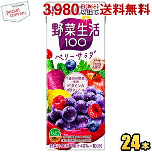 JS ؐ100 x[T_ 200mlpbN 24{ (؃W[X GiW[[c) asu