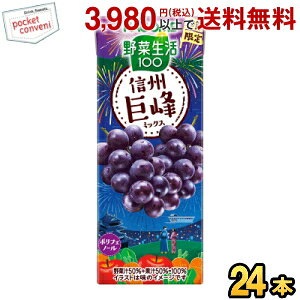 JS ؐ100 MB~bNX 195mlpbN 24{ Gߌ ؃W[X ₳W[X Ԃǂ  |tFm[