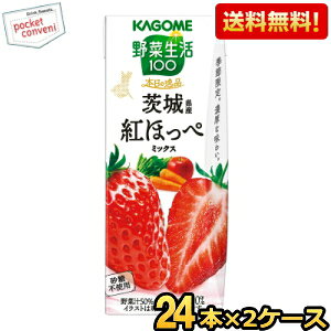 yz JS ؐ100 {̈i 錧Ygق؃~bNX 195mlpbN 48{(24{×2P[X) ؃W[X ₳W[X   Gߌ kC800~Ek400~̕ʓr