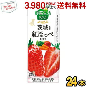 JS ؐ100 {̈i 錧Ygق؃~bNX 195mlpbN 24{ ؃W[X ₳W[X   Gߌ