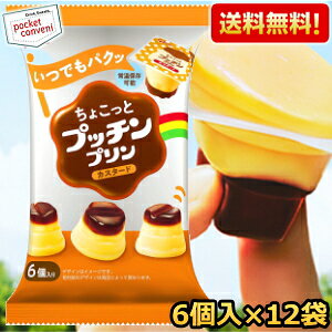 yzOR 傱ƃvb`v JX^[h 120g(20g×6)×12 vb`v kC800~Ek400~̕ʓrZ [39Vbv]