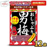 ゆうパケット送料無料 ノーベル おしゃぶり男梅 薄型シート 10g×12袋(6袋×2ボール) うめ