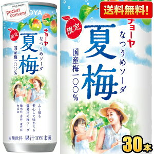 yzʌ `[ CHOYA Ĕ~\[_ 250g 30{ Y_ Ȃ߃\[_ ~W[X IBY썂~gp _EEFY kC800~Ek400~̕ʓrZ [3