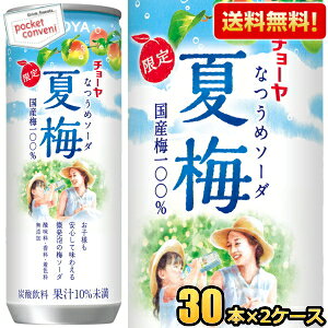 yzʌ `[ CHOYA Ĕ~\[_ 250g 60{(30{×2P[X) Y_ Ȃ߃\[_ ~W[X IBY썂~gp _EEFY kC800~Ek400~̕