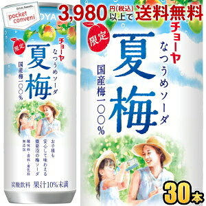yʌz`[ CHOYA Ĕ~\[_ 250g 30{ Y_ Ȃ߃\[_ ~W[X IBY썂~gp _EEFY