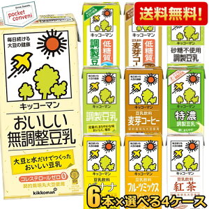 y24{zyzLbR[}  1L pbN Iׂ 24{ (6{×4P[X)  1000ml  Z sgp  ᓜ t[c~bNX R[q[ oii g 