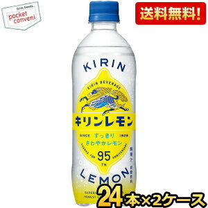 �y���������z�L���� �L���������� 500ml�y�b�g�{�g�� 48�{(24�{×2�P�[�X) ���k�C��800�~�E���k400�~�̕ʓr�������Z [39�V���b�v] kirin2022cp