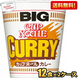 【送料無料】日清 120gカップヌードル カレー BIGビッグ 24食(12食×2ケース) カップラーメン ※北海道800円・東北400円の別途送料加算 [39ショップ]