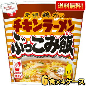 yz 77g`L[Ԃݔ 24H(6H×4P[X) Ԃ݂߂ V ͂ JbvCX kC800~Ek400~̕ʓrZ