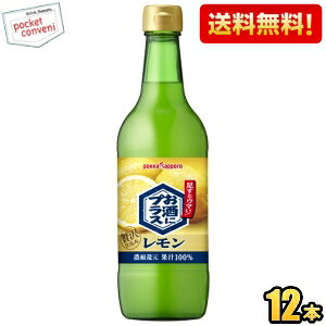 yz|bJTb| ɃvX  540mlr 12{ r ĒEEHbJEWEY_Ȃǂ̊ނ kC800~Ek400~̕ʓrZ