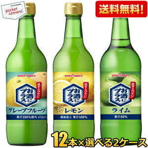 Ԍyz|bJTb| ɃvX IׂZbg 540mlr 24{(12{×2P[X) r ĒEEHbJEWȂǂ̊ނ  O[vt[c C kC800~E