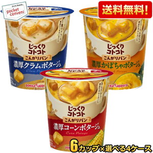 yz|bJTb| JbvX[vIׂ24Zbg(6×4P[X) RgRg R[|^[W ڂ X[v |^[W R[X[v N`E_[ N|^[