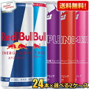 クーポン配布中★【送料無料】レッドブル エナジードリンク 250ml缶 48本(24本入×選べる2アイテム) RED BuLL オリジナル シュガーフリー パープル サマーエディション ※北海道800円・東北400円の別途送料加算