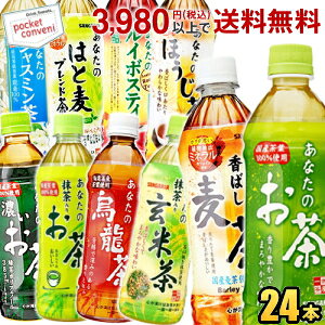 TKA Ȃ̂V[YIׂ500ml 600mlPET 24{ Β  G Z G uh 肨 Ē C{XeB[