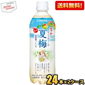 2024年6月4日発売【送料無料】チョーヤ CHOYA 夏梅ソーダ 500gペットボトル 48本(24本×2ケース) 炭酸飲料 なつうめソーダ 梅ジュース 紀州産南高梅使用 ※北海道800円・東北400円の別途送料加算 [39ショップ]