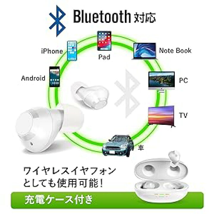 楽天市場】【13:00までのご注文で当日発送】 認定補聴器技能者監修 
