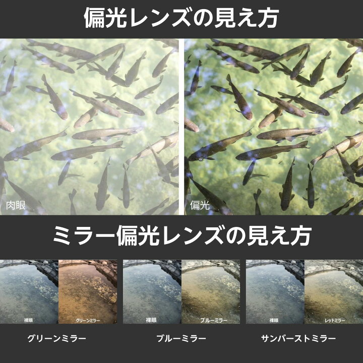 楽天市場】【正規品/サングラスコードプレゼント】GATORZ DELTA 